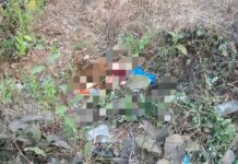 Breaking: खेड शहरालगत खारी नांदगाव परिसरात अपघातानंतर संशयास्पद मांस सापडल्याने तणाव