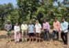 बदलत्या हवामानाच्या पार्श्वभूमीवर आंबा उत्पादनाची क्षेत्रीय तपासणी