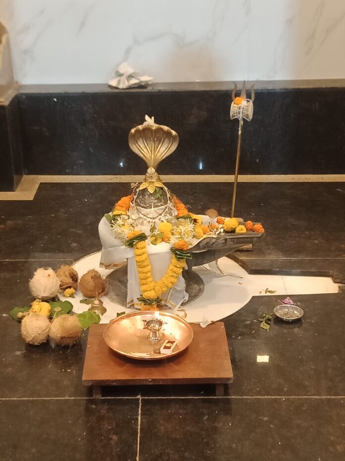 WhatsApp Image 2026-02-13 at 1.40.31 PM