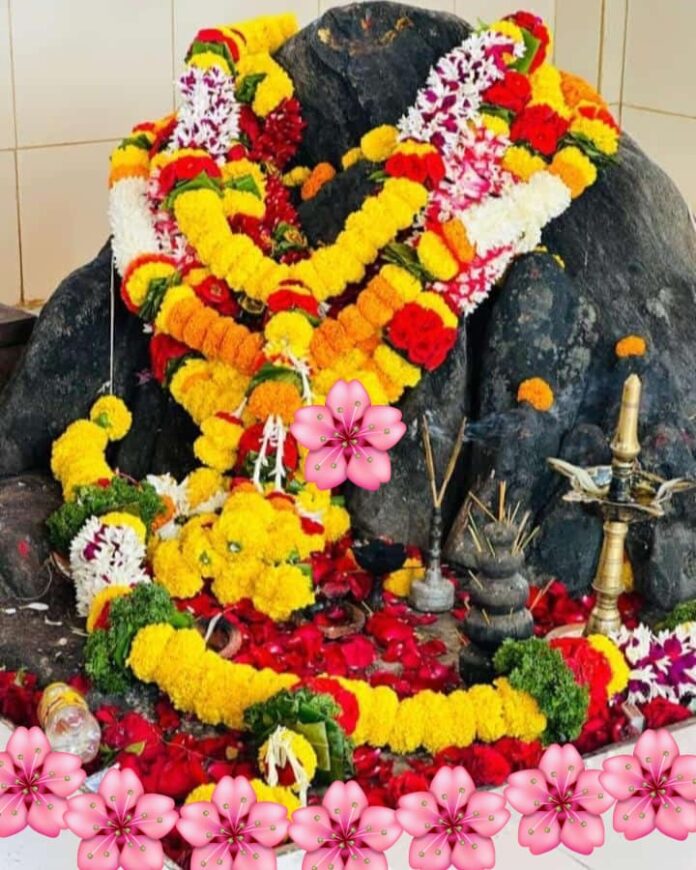 WhatsApp Image 2026-02-25 at 2.48.42 PM