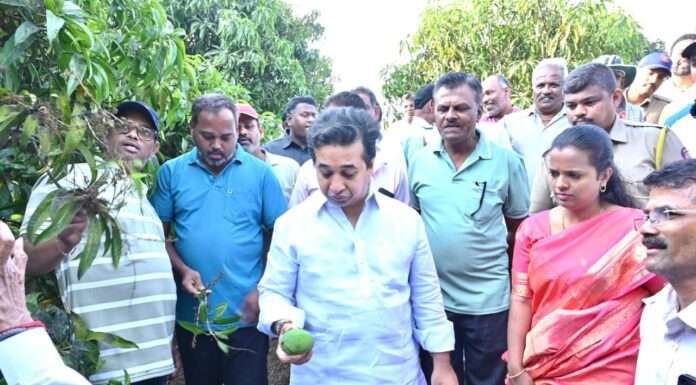 _पालकमंत्री नितेश राणे यांनी केली नुकसानग्रस्त आंबा बागांची पाहणी