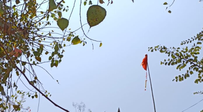 मळई येथे १ ते ३ एप्रिल कालावधीत हनुमान जन्मोत्सव सोहळा