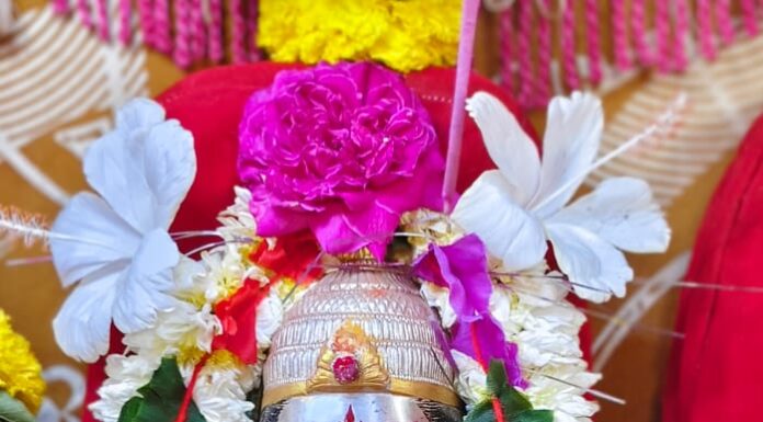 तळवली ग्रामदेवता श्री सुकाई देवीचा उद्यापासून शिमगोत्सव