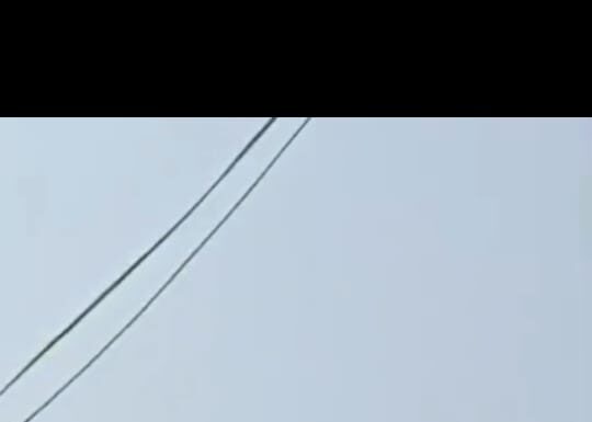 महाराष्ट्रातून दुर्मिळ होत असलेला शेखरु प्राणी तळवडे येथे आढळला!!