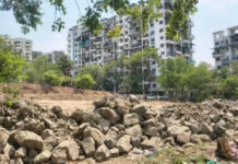 पुण्यात मियावाकी जंगल प्रकल्प; NIBM रोडवर एक हेक्टरमध्ये घनदाट हरितपट्टा उभारणार