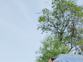 लांजा Breaking : आयशर टेम्पो- ट्रक अपघातात आयशर चालकाचा जागीच मृत्यू