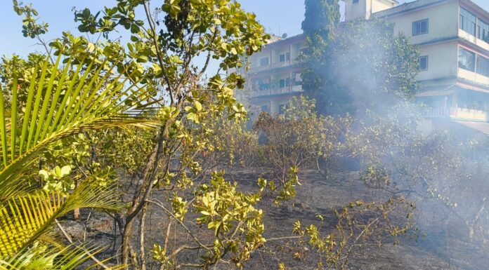 दोडामार्ग-तिलारी मार्गावर सुशीला हॉलजवळ काजू बागेला भीषण आग; नगरपंचायत अग्निशमन दलाच्या तत्परतेने मोठा अनर्थ टळला