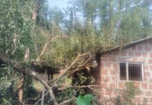 माजगाव परिसराला अवकाळी पावसाचा तडाखा