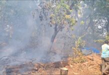 खेडमध्ये भीषण वणवा; अग्निशमन दलाच्या तत्परतेने मोठी दुर्घटना टळली