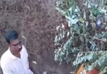 गुहागर-विजापूर राष्ट्रीय महामार्गाच्या संदर्भात मनसे गुहागर आग्रही