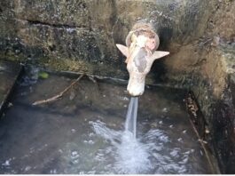 दहिबाव येथे गंगा अवतरली