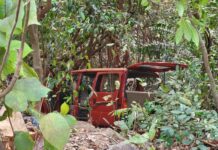 मळगाव घाटात इको कार दरीत कोसळून ७ जण जखमी