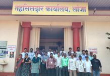 आपल्या विविध मागण्यांसाठी आरोग्य, बांधकाम, महसूल विभागातील कर्मचारी बेमुदत संपावर