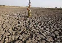 उष्णतेचा कहर! लातूरमध्ये शेतकऱ्याचा संशयित उष्माघाताने मृत्यू; राज्यात चिंतेचे वातावरण