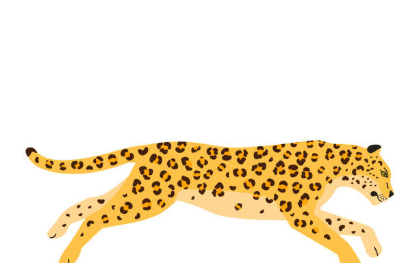 तळवली परिसरात बिबट्याचा भरवस्तीतील वावर वाढला