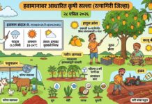 रत्नागिरी जिल्हा कृषी सल्ला: पुढील पाच दिवस हवामान कोरडे