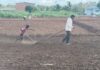 बाप लेकाची जोडी…