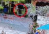 अहमदाबादमध्ये धक्कादायक घटना; चोरी करताना पकडल्याने भाच्यानेच आत्याच्या नवऱ्याची हत्या
