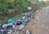 कोलगाव नाईकबाग रस्त्यावर कचर्याचे साम्राज्य; रहिवाशांचे आरोग्य धोक्यात
