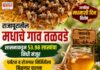 जागतिक मधमाशी दिन विशेष राजापूरातील मधाचे गाव तळवडे