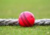 ICC चा मोठा विचार! कसोटी सामन्यात लाल चेंडूऐवजी गुलाबी चेंडू वापरण्याचा प्रस्ताव चर्चेत
