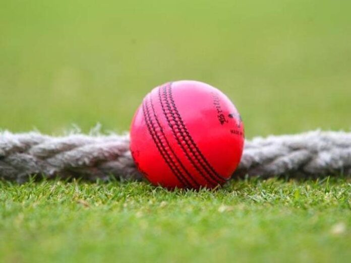 pink-ball-cricket_00c2ce1a-2e20-11e6-9019-0e3372d9e70b