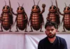 धर्मेंद्र प्रधान यांच्या राजीनाम्याच्या मागणीसाठी जंतरमंतरवर CJP चे पुन्हा आंदोलन