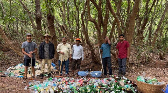 जोग नदी पात्रातील पार्टी अड्ड्यांवर वन विभागाची कारवाई; स्वच्छता मोहीम राबवून कचरा हटवला