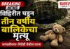 विहिरीत पडून तीन वर्षीय बालिकेचा मृत्यू