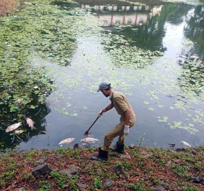 WhatsApp Image 2026-06-09 at 1.12.54 PM