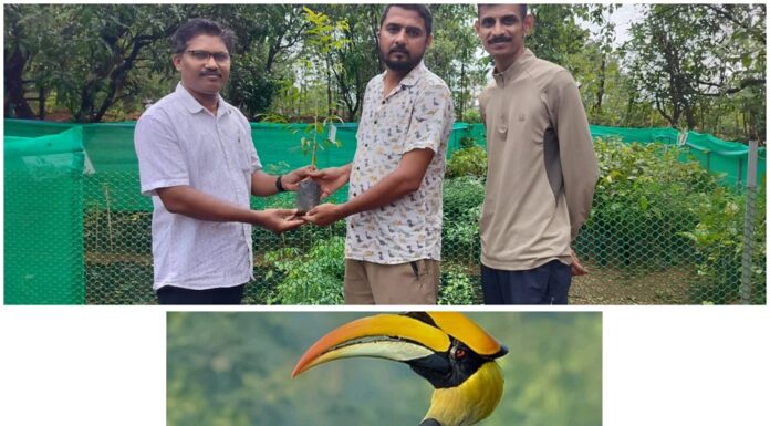 कोकणातील जैवविविधतेच्या संवर्धनासाठी जीआयटी कॉलेजचा ऐतिहासिक पुढाकार; ‘देवराई’, ‘धनेश पक्षी संवर्धन’ आणि ‘वृक्ष वाचनालय’ प्रकल्प जुलैपासून सुरू