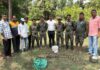इन्सुलीत विहिरीतून १५ पिल्लांसह ८ फुटी महाकाय मगरीला जीवदान