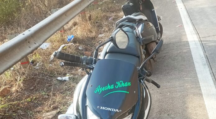 मुंबई-गोवा महामार्गावर माकड आडवे आल्याने दुचाकी घसरली; महाडमधील दोघे जखमी