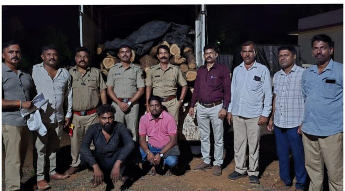 कशेडी घाटात खैर तस्करीवर वनविभागाचा घाला; पाठलाग करून पिकअपसह १० लाखांचा मुद्देमाल जप्त