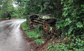 मळेवाड येथे वळणावर पीकअप घसरून अपघात