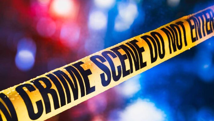 crime-beed.jpg