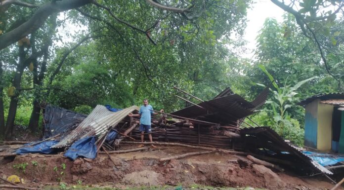 पाळ्ये येथील शेतकऱ्याचा गुरांचा गोठा कोसळला; लाखो रुपयांचे नुकसान, तातडीने पंचनाम्याची मागणी