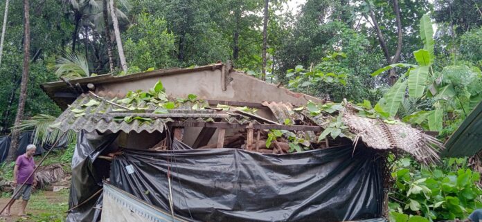 WhatsApp Image 2026-07-01 at 7.25.16 PM