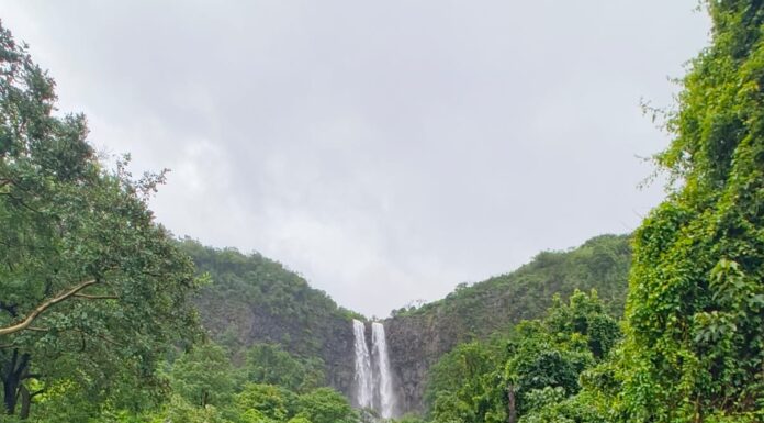 धुक्याची दुलई अन फेसाळणारे धबधबे; वर्षापर्यटनाच्या पहिल्याच रविवारी ‘मागेली’ पर्यटकांच्या गर्दीने न्हाली!