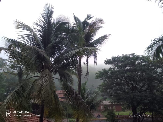 WhatsApp Image 2026-07-14 at 5.19.22 PM