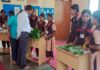 वसंतराव भागवत माध्यमिक विद्यालयात रानभाज्यांचे प्रदर्शन उत्साहात