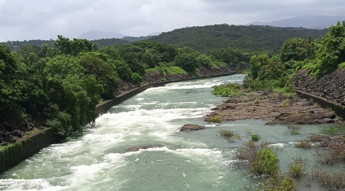 तिलारी धरण पूर्ण क्षमतेने भरले; सांडवा कालव्यातून पाणी नदी पात्रात प्रवाहित 