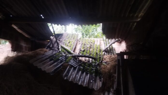 IMG-20260806-WA0080