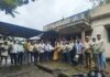 वैरणीच्या बियाण्यातून पशुपालकांच्या जगण्याला हिरवा आधार