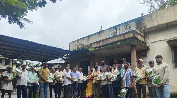 वैरणीच्या बियाण्यातून पशुपालकांच्या जगण्याला हिरवा आधार