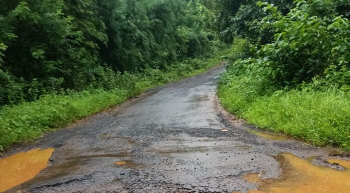 सडुरे-शिराळे रस्त्यावर खड्ड्यांचे साम्राज्य : रस्ता तातडीने दुरुस्त करा