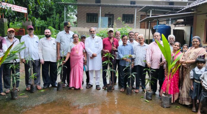 मराठा क्रांती स्वराज्य संघटनेकडून बिजघर साईधाम येथे वृक्षवाटप; पर्यावरण संवर्धनाचा संदेश