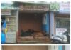 देवरूख बाजारपेठेत मोकाट गुरांचा वाढता उपद्रव
