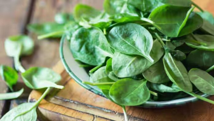 green-vegetables-maharashtra-times.jpg
