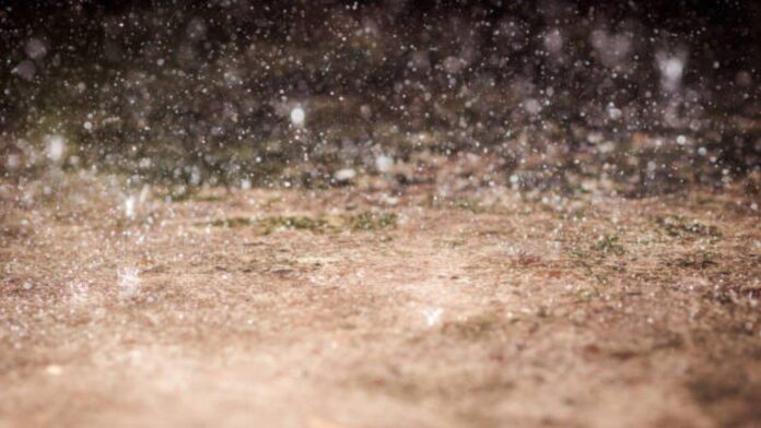 soil-bacteria-maharashtra-times.jpg